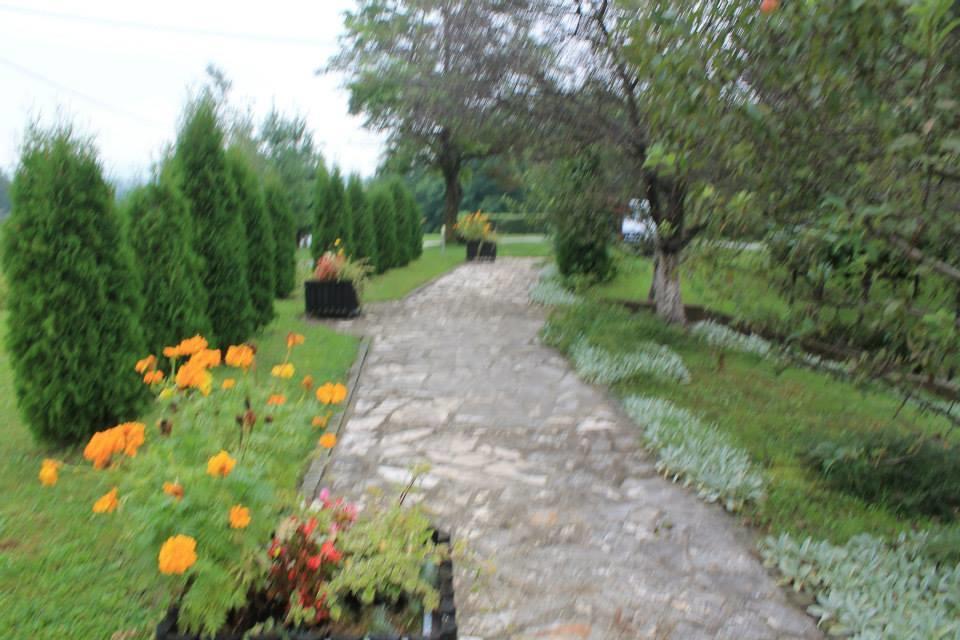 Apartments Bozic Grabovac  Exterior foto